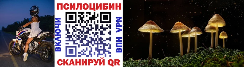 Псилоцибиновые грибы мухоморы  mega сайт  Макарьев 